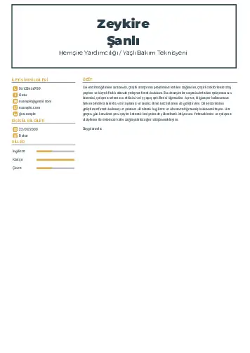 Hasta ve Yaşlı Bakım Elemanı Cv Örnekleri cv indir